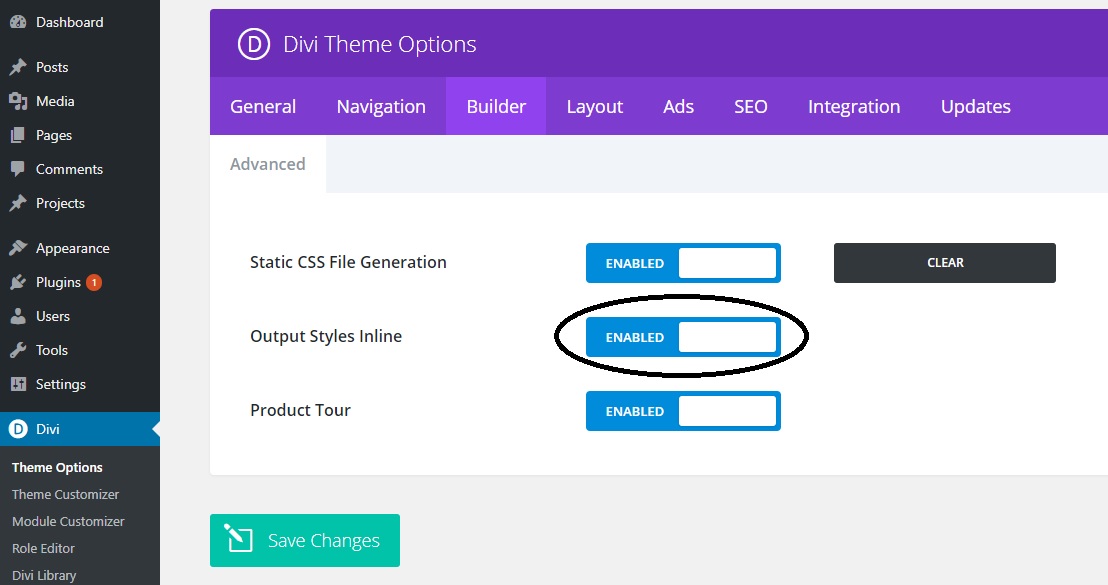 theme-customizer-bug.jpg