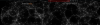 upload_2021-3-29_12-56-9.png